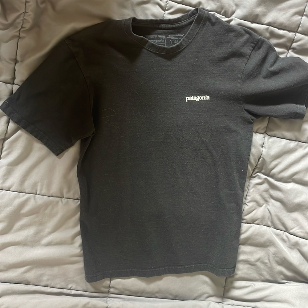 patagonia tshirt